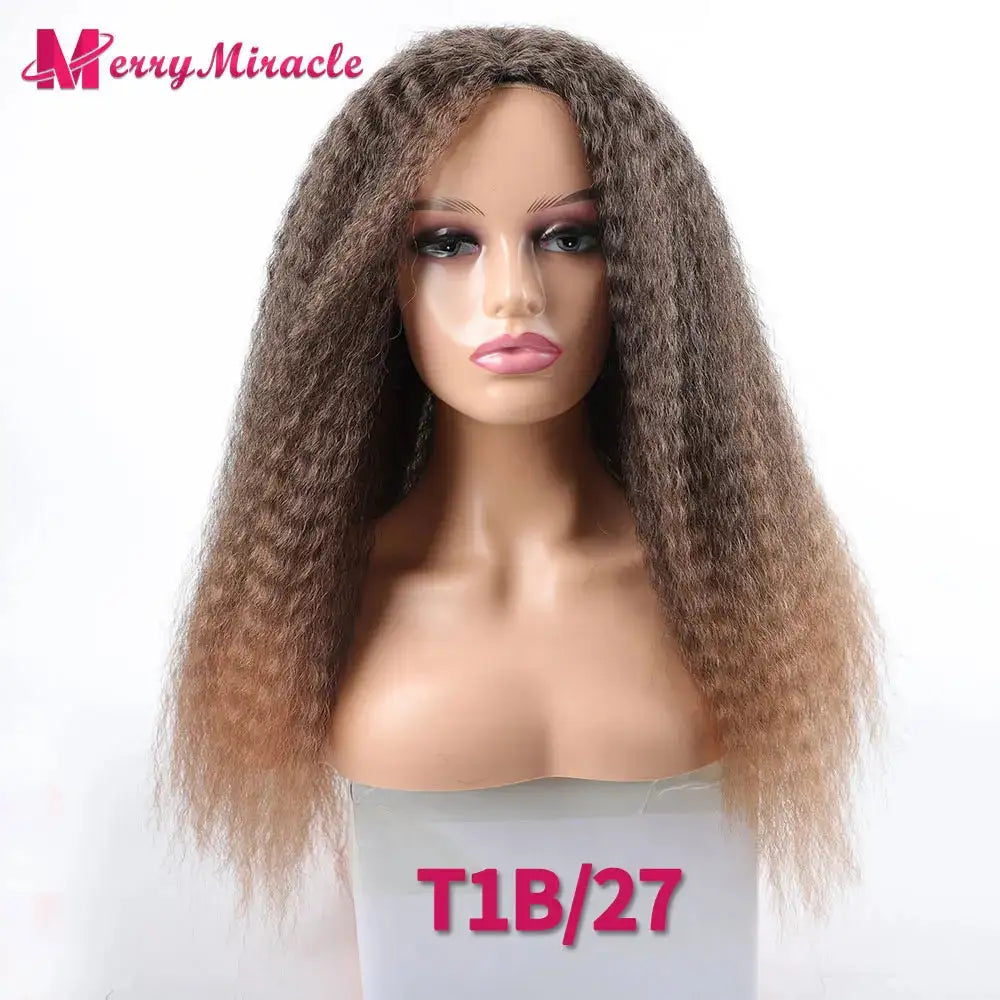 Afro Kinky Curly Hair Wigs