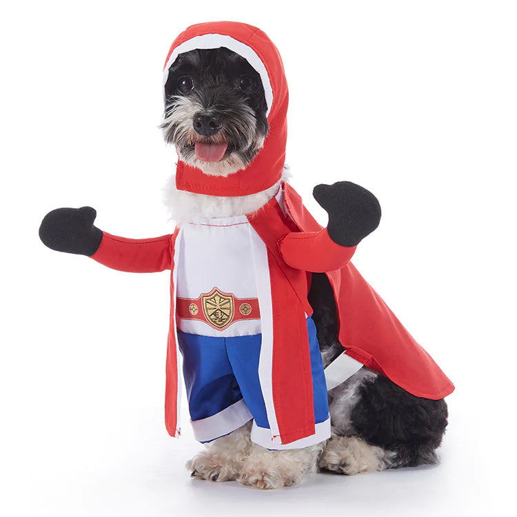 Halloween Dog Costumes