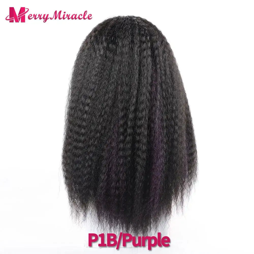 Afro Kinky Curly Hair Wigs